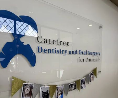 Carefree Dentistry and Oral Surgery for Animals