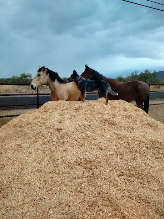 Copper Ridge Equine, LLC Picture 2