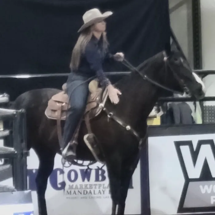 Copper Ridge Equine, LLC Picture 6