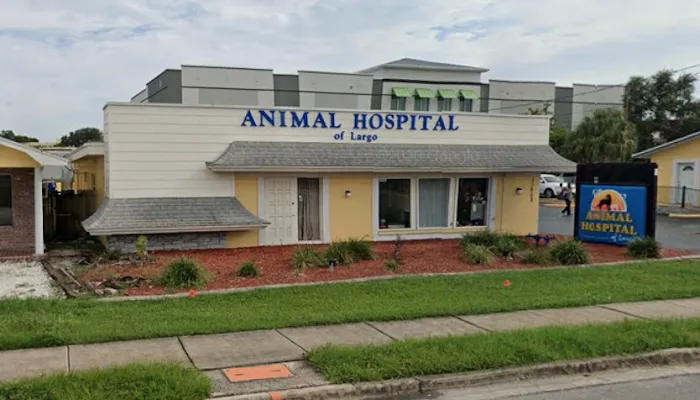 Animal Hospital of Largo Picture 9