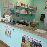 Dr. Kathy's Veterinary Care ico