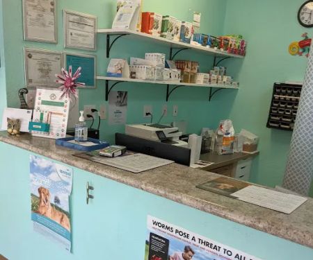 Dr. Kathy's Veterinary Care