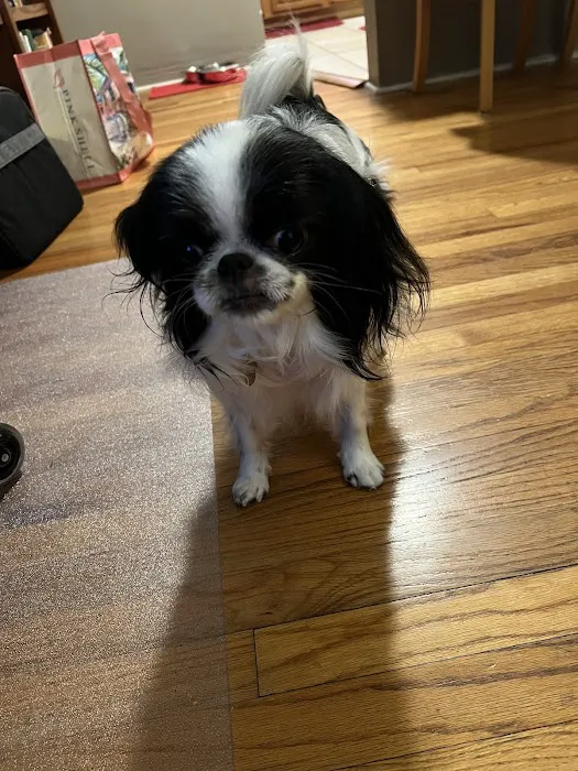 Dr. Kathy's Veterinary Care Picture 2