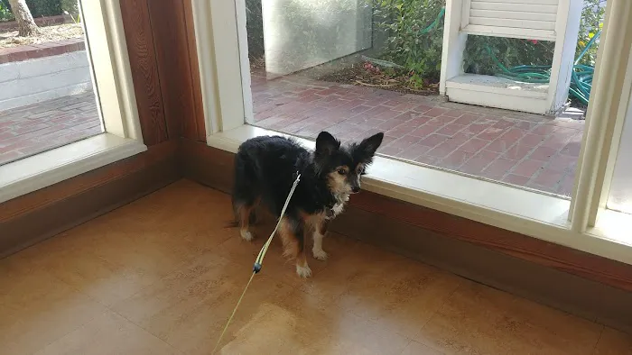 Dr. Kathy's Veterinary Care Picture 4