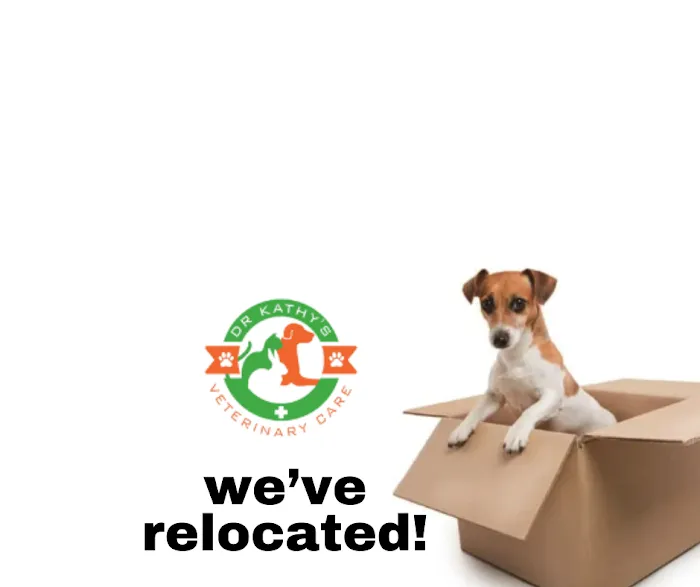 Dr. Kathy's Veterinary Care Picture 7