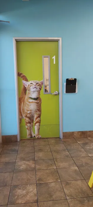 Banfield Pet Hospital Picture 5