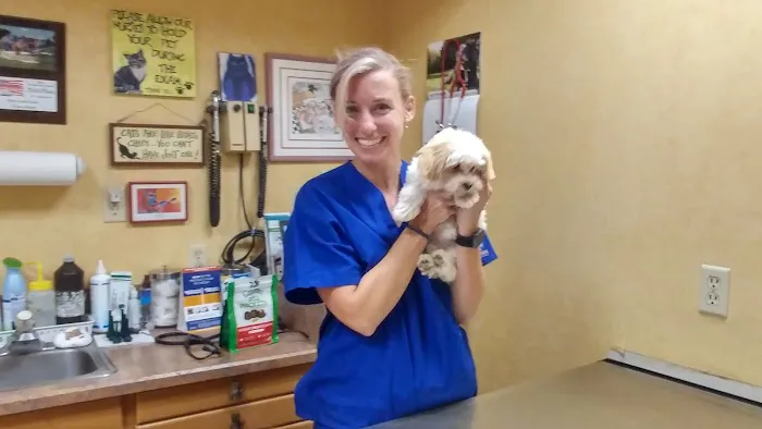 Animal Hospital-Treasure Island Picture 2