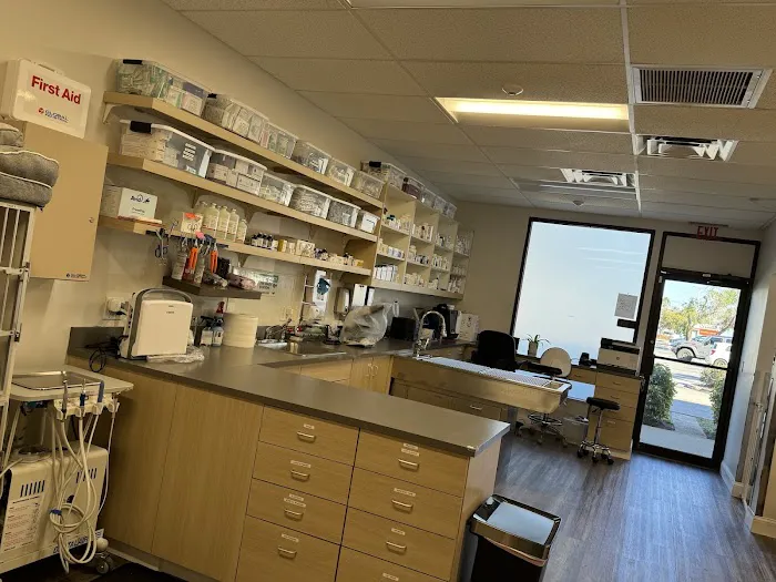 Hometown Veterinary Partners St Petersburg Picture 3