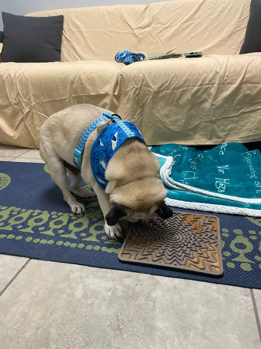 Healing Hands for Pets Picture 4