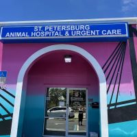 St. Petersburg Animal Hospital and Urgent Care ico