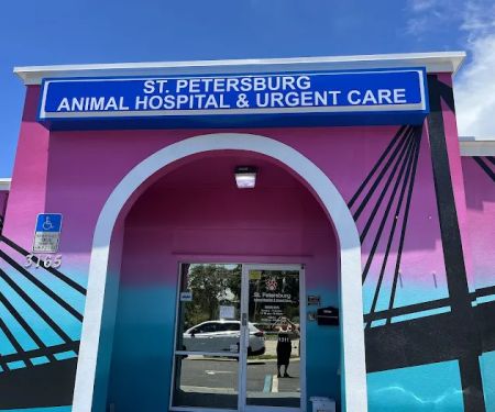 St. Petersburg Animal Hospital and Urgent Care