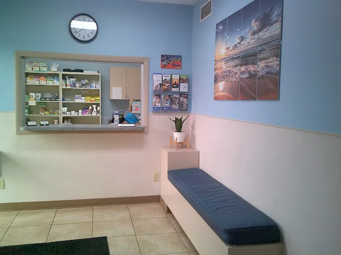 St. Petersburg Animal Hospital and Urgent Care Picture 4