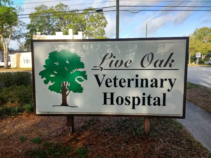 Live Oak Veterinary Hospital Picture 8