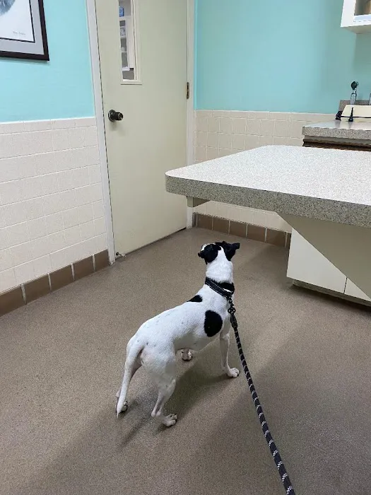 Live Oak Veterinary Hospital Picture 7