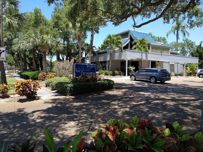 Cat Hospital On Park Street Picture 3