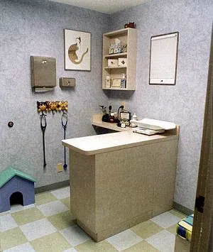 Cat Hospital On Park Street Picture 6