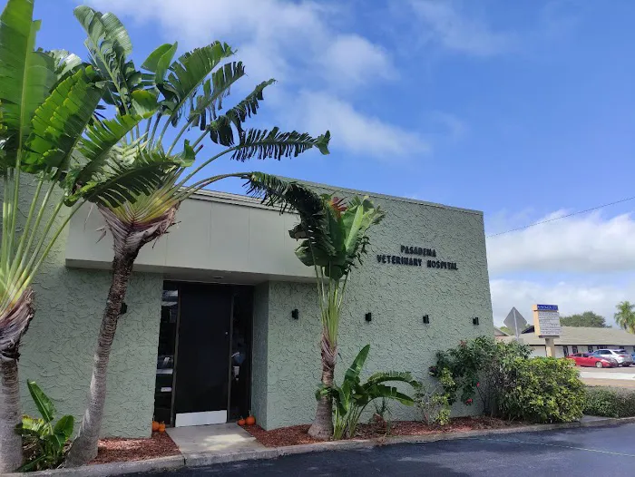 Pasadena Veterinary Hospital & Laser Center Picture 7