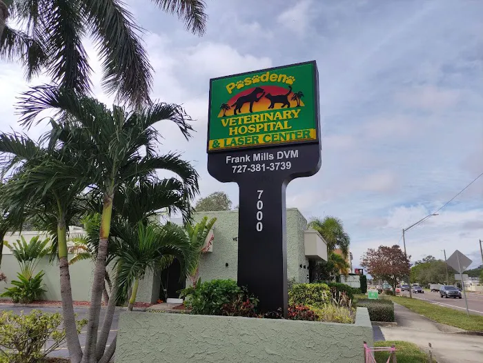 Pasadena Veterinary Hospital & Laser Center Picture 8