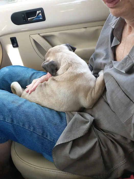 Animal Medical Hospital Picture 4