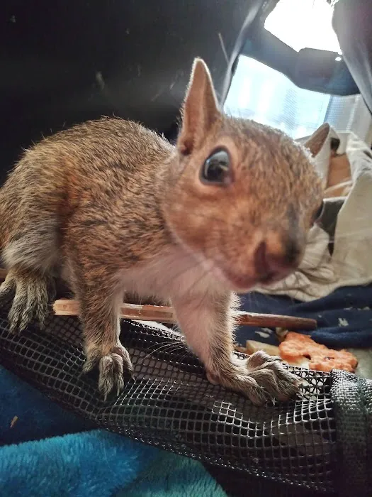 Animal Medical Hospital Picture 9