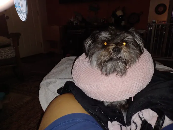 Baycrest Veterinary Hospital Picture 3