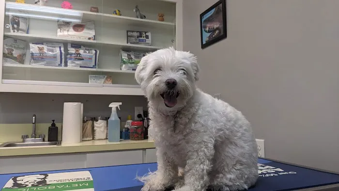 Baycrest Veterinary Hospital Picture 10