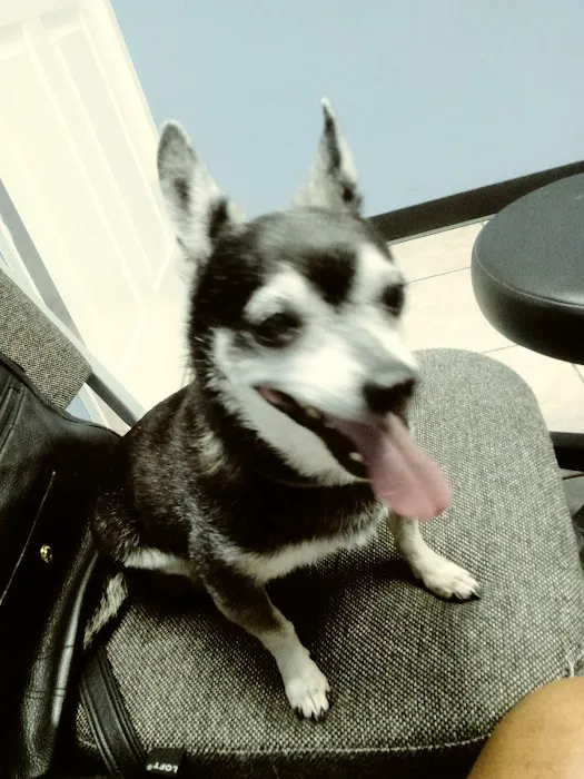 Baycrest Veterinary Hospital Picture 9