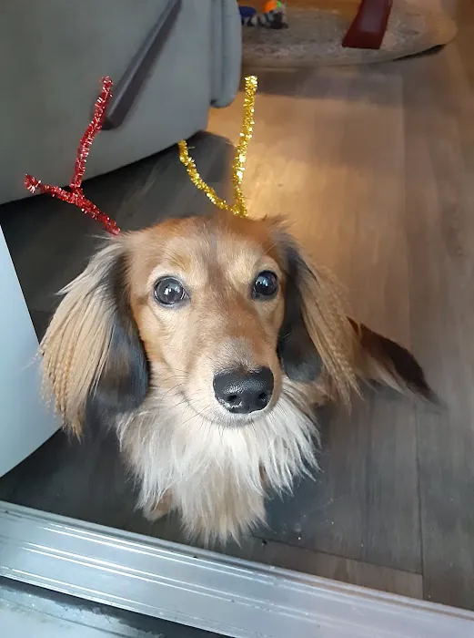 4th Street Pet Hospital Picture 7