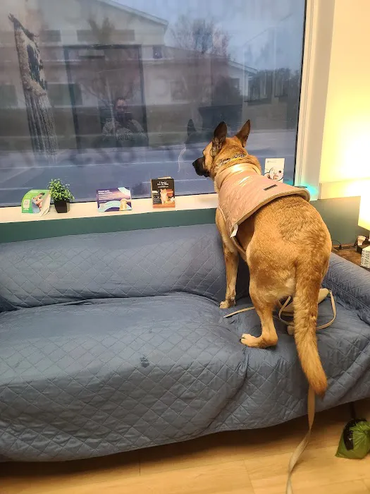 Beacon Emergency Veterinary Hospital Picture 1