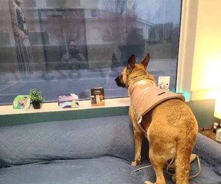 Beacon Emergency Veterinary Hospital