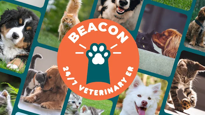 Beacon Emergency Veterinary Hospital Picture 9