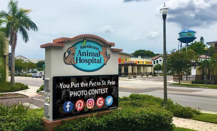 Northeast Animal Hospital Picture 2