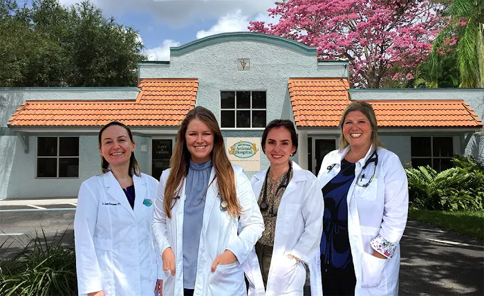 Northeast Animal Hospital Picture 3