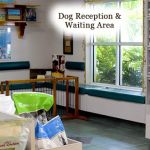 Northeast Animal Hospital