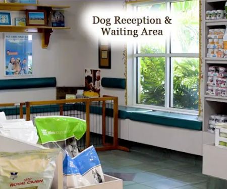 Northeast Animal Hospital