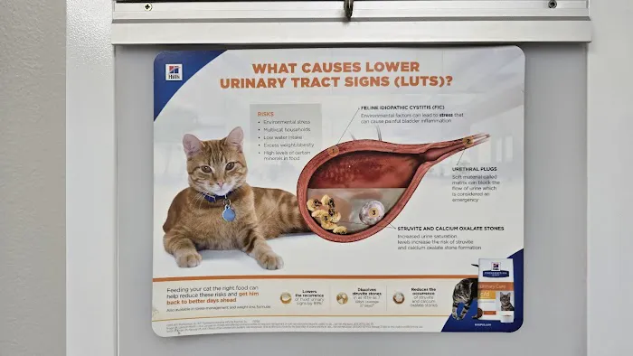 Northeast Animal Hospital Picture 6