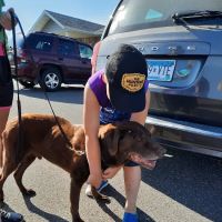 Moose Lake Veterinary Clinic ico