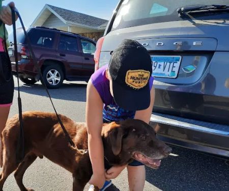 Moose Lake Veterinary Clinic