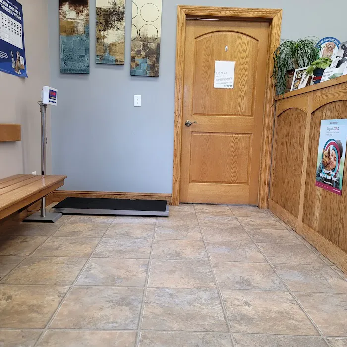 Moose Lake Veterinary Clinic Picture 7