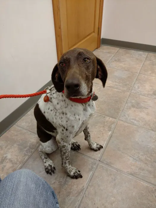 Moose Lake Veterinary Clinic Picture 10