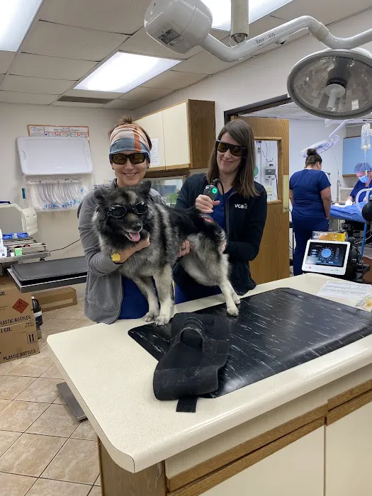 VCA Spooner Veterinary Hospital Picture 9