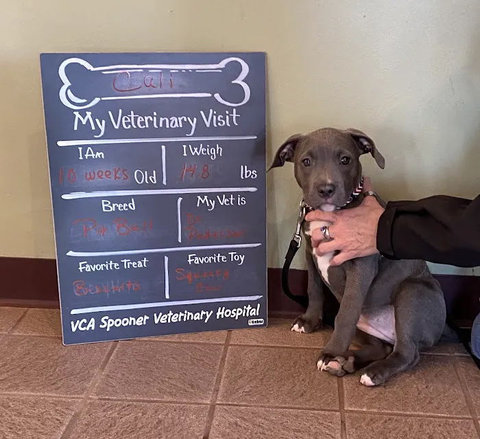 VCA Spooner Veterinary Hospital Picture 7