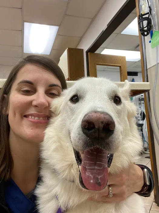 VCA Spooner Veterinary Hospital Picture 8