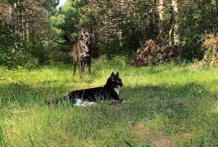Pet Care Xpress LLC Picture 6