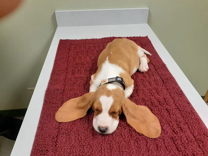 Brakken Veterinary Clinic Picture 3