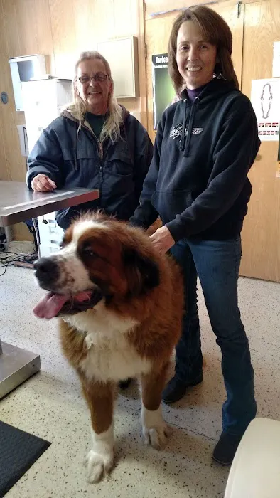 Dr. Reiter's Veterinary Clinic Picture 3