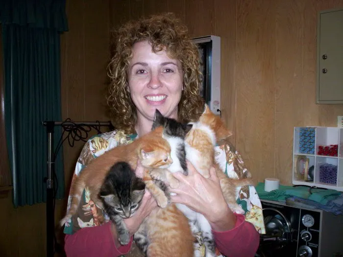 Dr. Reiter's Veterinary Clinic Picture 5