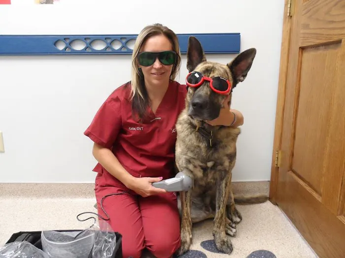 The Bluffs Pet Clinic Picture 7