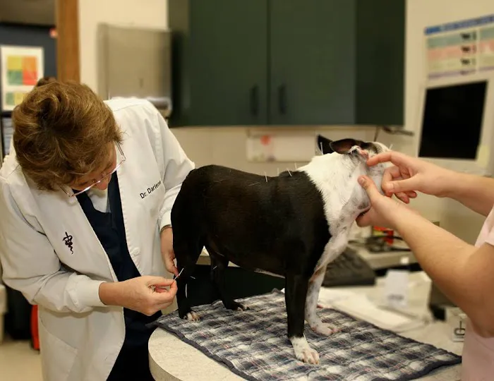 The Bluffs Pet Clinic Picture 5
