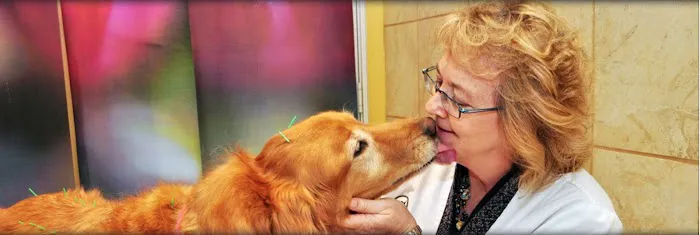 The Bluffs Pet Clinic Picture 10
